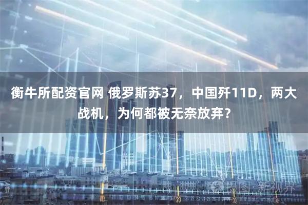 衡牛所配资官网 俄罗斯苏37,中国歼11D,两大战机,为何都被无奈放弃?